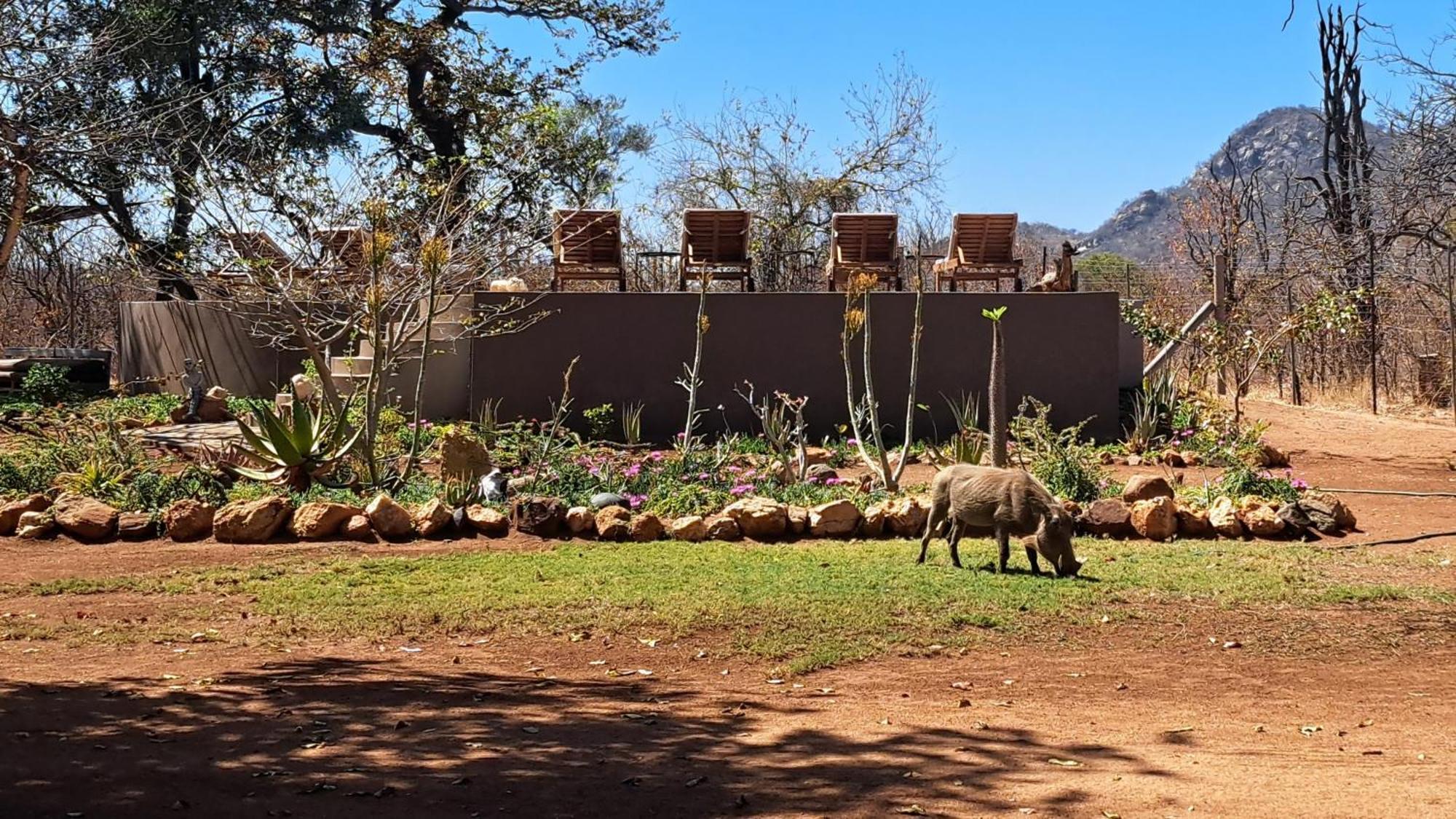 Ngalali Retreat Ξενοδοχείο Grietjie Game Reserve Εξωτερικό φωτογραφία